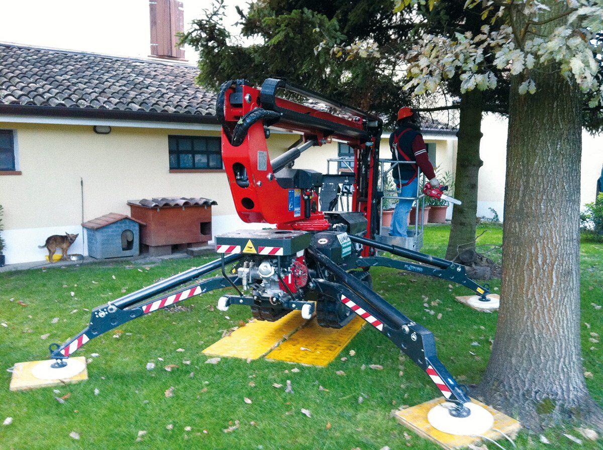 Platform Basket Spider 13.65, mynd 3