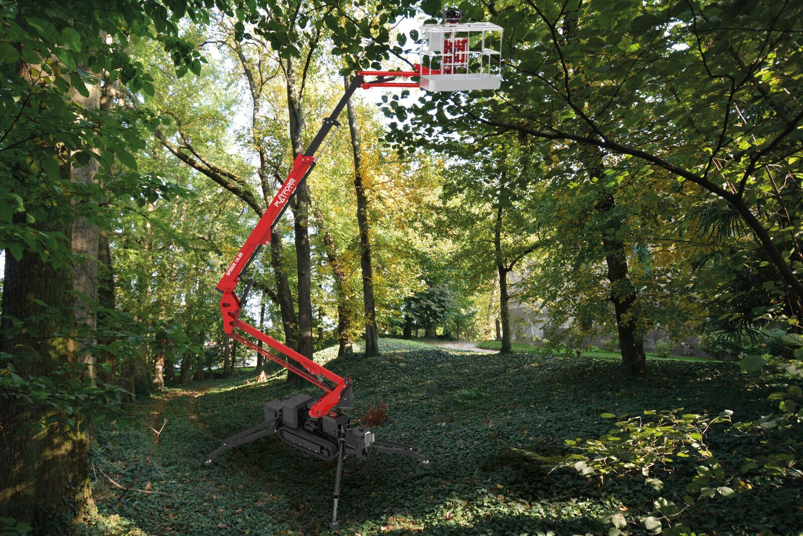 Platform Basket Spider 18.95, mynd 1